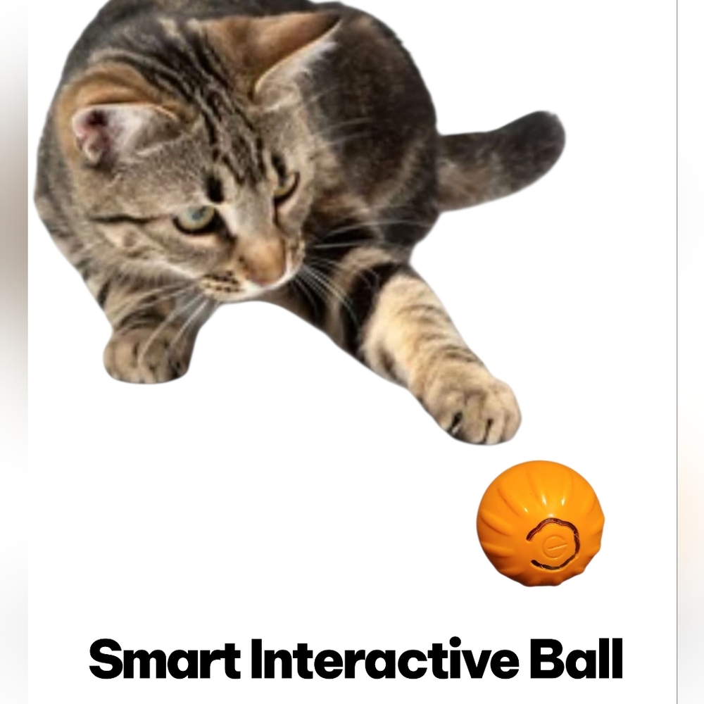 Smart Interactive Rolling Orange Pet Ball Toy